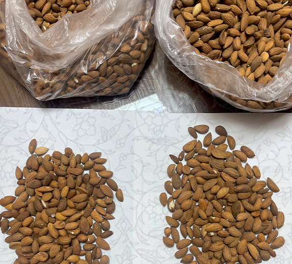 خرید عمده مغز بادام 2
